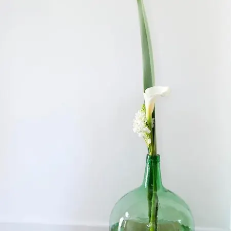 Landsted Os Lambrans