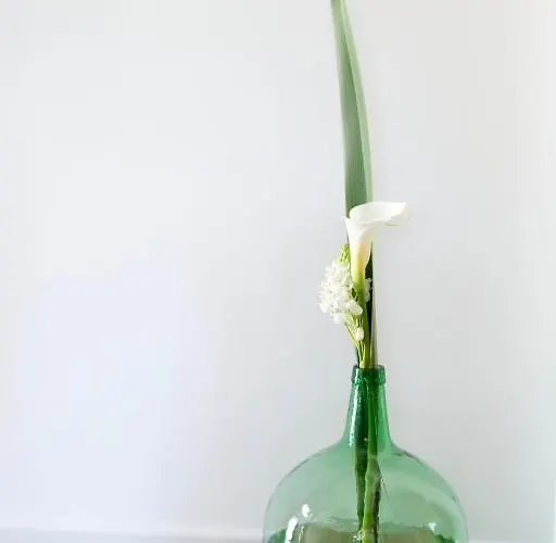 Gospodarstwo wiejskie Os Lambrans